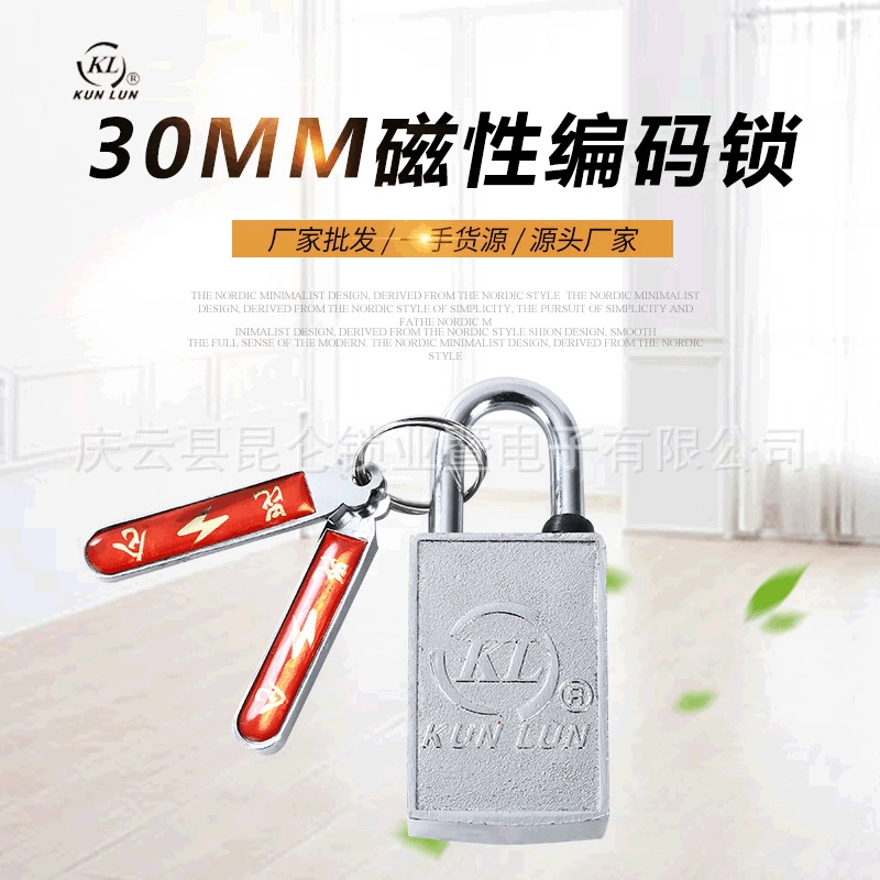 30 мм магнитный кодовый замок электромагнитный замок ящик счетчика мощности замок открытый замок Государственный сетчатый замок с магнитной полосой магнитный замок