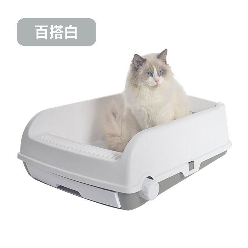 화이트