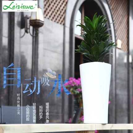 Laizhixiu maceta absorbente Automática simple verde rábano piso perezoso plástico sala de estar maceta absorbente automática al por mayor image 3