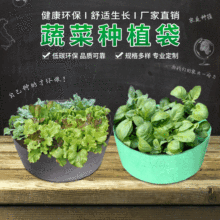 �A�ηNֲ���辰�o�������@�ˈ@�������L��ͥ����̨�߲˻���