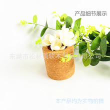 ܛľ������AͲ�辰�������ϻ��[������60*H60mm