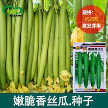 �۴���z�ϷN�� �r��ˈ@�����������o���������� �߲˷N��