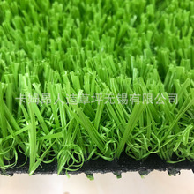 广州卡姆昂出新　免填充塑料草皮　用于足球场
