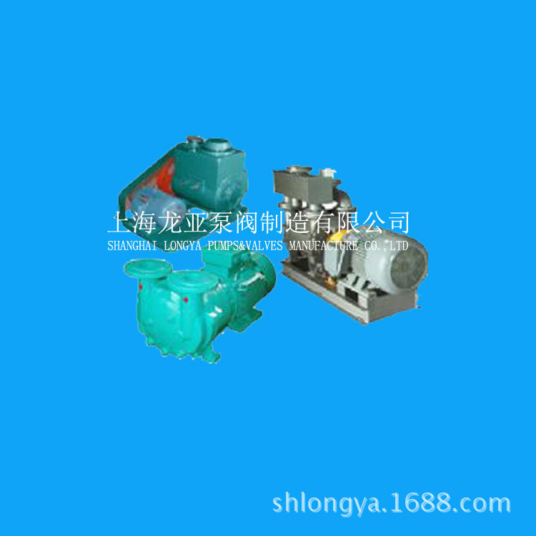 2SK-1.5三相60HZ立式真空泵 2SK两级水环真空泵 2SK-0.8卧式真空