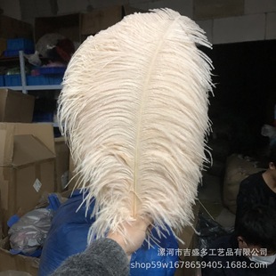 �S�Ҵ����F؛45-50cm��ɫ����ë�r�Bë ������c�b��r�B��ë���l