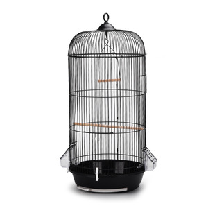 �Wʽˇ�g�A���B�\�W�^�\ֱ��33CM��74CM�A�\���l���