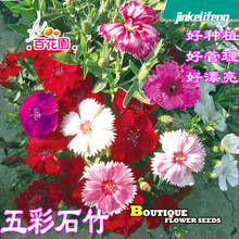 ���ʯ��N�ӳ���ʯ������ʯ���׷Nֲ�޸����N���^�����̨���^