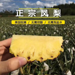 【海南金钻凤梨17号】当季现摘非手撕凤梨非菠萝9斤新鲜水果代发