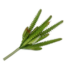 �����������������ֲ��22cm�����ƼپGֲ�b�С�辰ֲ����