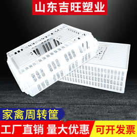 吉旺厂家批发鸡鸭鹅运输笼养殖场周转筐元宝鸡笼鸭笼塑料鸡笼