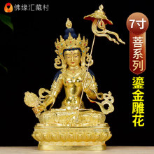 �𾉅R ��ׂ��w�~�����_�؂�����7���~����ȫ�̽�Ӽҹ���[��