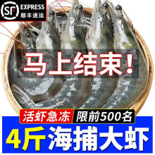大虾对虾基围虾明虾青虾白虾海虾冻虾带冰5斤装顺丰批发冷链直达