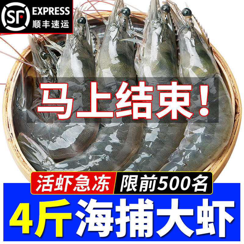 大虾对虾基围虾明虾青虾白虾海虾冻虾带冰5斤装顺丰批发冷链直达