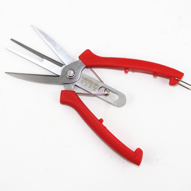 农用疏花果双口剪/不锈钢煅打/苹果/梨树剪刀厂家供应修花剪修果