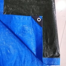 生产救灾篷布 疫情隔离搭棚布 临时搭帐篷布 防雨布 pe蓬布 