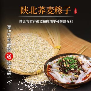 ꄱ��w���R�� �w���� �����ț��� ����خa ��߅�r�ҼR��