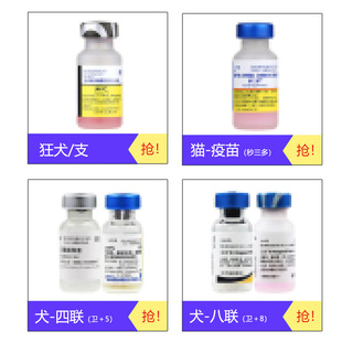 �x������Ȯ؈�����l��5���l��8��Ȯ����؈�����������Ȯ����