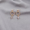 Earrings, accessory, simple and elegant design, internet celebrity