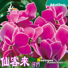 �ɿ́��N��  �}������ �ö��� ���������ܷN�ӻ����׷N�û�