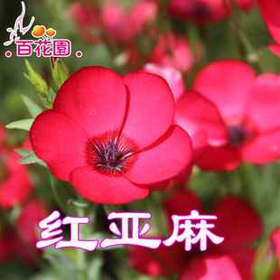 �t���黨�ܷN�Ӷ������N�N�����ݷN�ӻ��Ѽ�ͥ�@ˇ�����׻�ô���