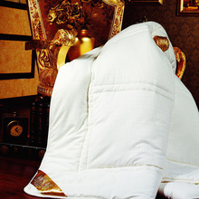 宾馆酒店羽丝绒被芯春秋冬被夏凉空调被纯棉面料儿童婴幼儿被