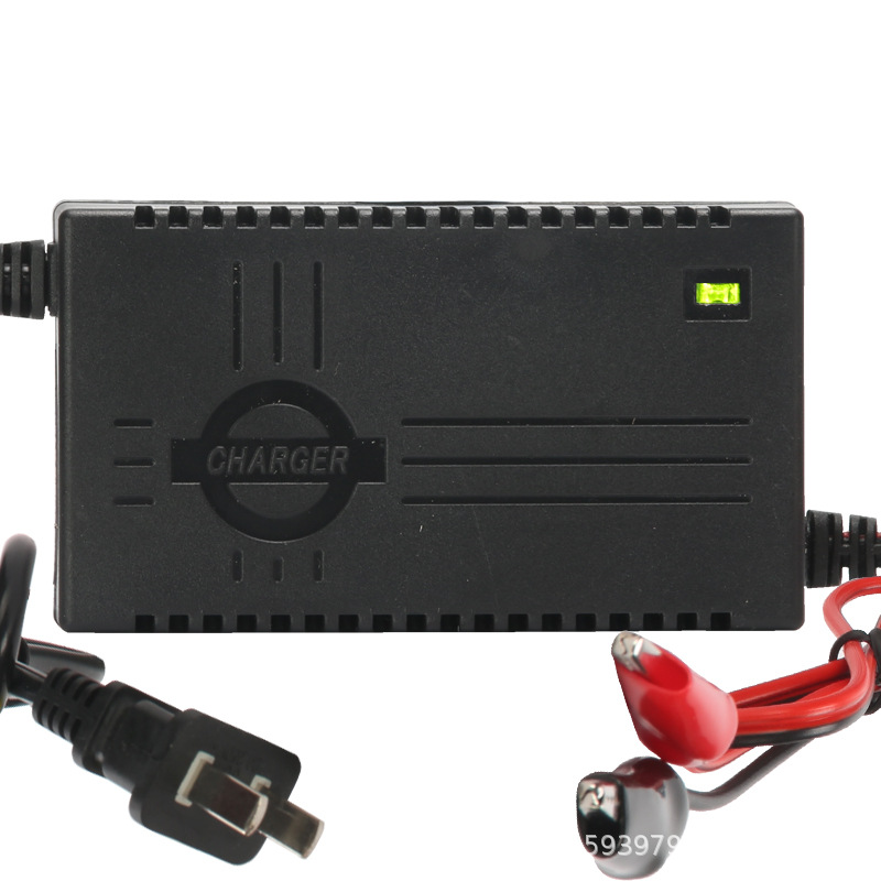 Cargador 12V/motocicleta/Van/coche/batería seca del agua/sola universal inteligente de la batería de coche eléctrico