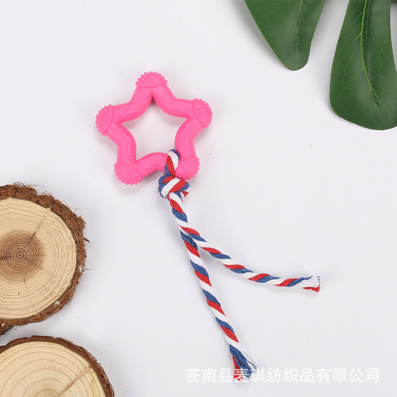 Productos para mascotas TPR juguetes para mascotas juguetes para perros resistentes a la mordedura juguetes para perros en forma de pentacos juguetes para perros Teddy Bear al por mayor