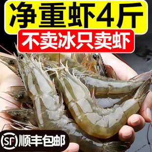 ��S���]���a���r�������r���rˮ�a�����r���r���r���r���r���r