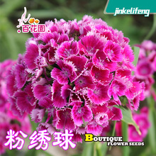 �ٻ��@�۽�������ʯ�񻨷N�ӳ���ʯ�����ʯ����Ůʯ��������ݱ�