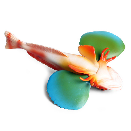 Children's marine animal model car ornaments simulated freshwater fish arowana salmon tuna carp toys