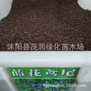 ���l���ܷN���m���Sβ�N���{�����N�������Sβ ���� ��ѿ�ʸ�