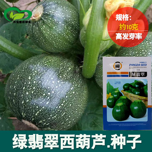 �G���A�����J�N�� �r��ˈ@�s�������r��A�����J�߲���
