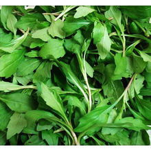 ���]2��ɰ��] ���r�߲� �R�m�^ �t���� �u���c �r��Ұ�˸������x