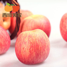 洛川蘋果早熟富士蘋果3/5斤/10斤 中大果 陝西延安新鮮水果