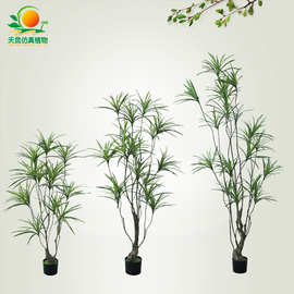 仿真绿植仿真吊兰盆栽酒店家居橱窗装饰新品仿真龙血树仿真植物