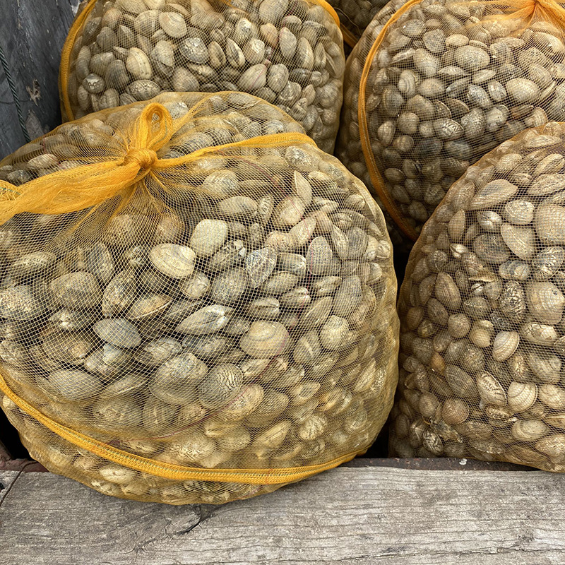 工厂批发50斤装装花蛤网袋花蛤袋蛤蜊网袋生蚝网袋螺苗袋沙苗袋