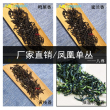 【单枞茶场】头春潮州凤凰乌岽单丛茶鸭屎香蜜兰香（自选茶样）