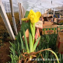 �@�־��^ ˮ���Sβ �{�������m �����޸����� ����r�����a