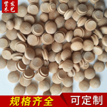 ���l�Ҿ߿�ľ�^�w�� ����ľ�w �ݽz�w ��ľľ�w