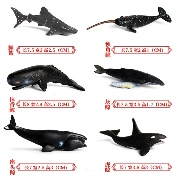 New mini -ocean 6 sets (note size) M6028 black