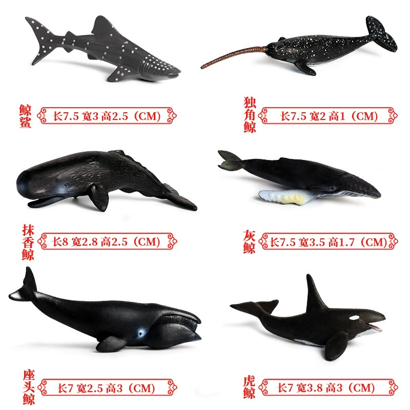 Cognitive realistic marine animal model, dinosaur, toy
