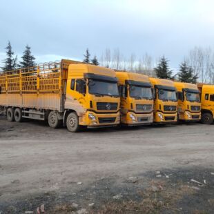 ���N����ǰ�ĺ�˂}��܇ �|�L����9.6�׸ߙ�܇ �������ߙڶ���܇