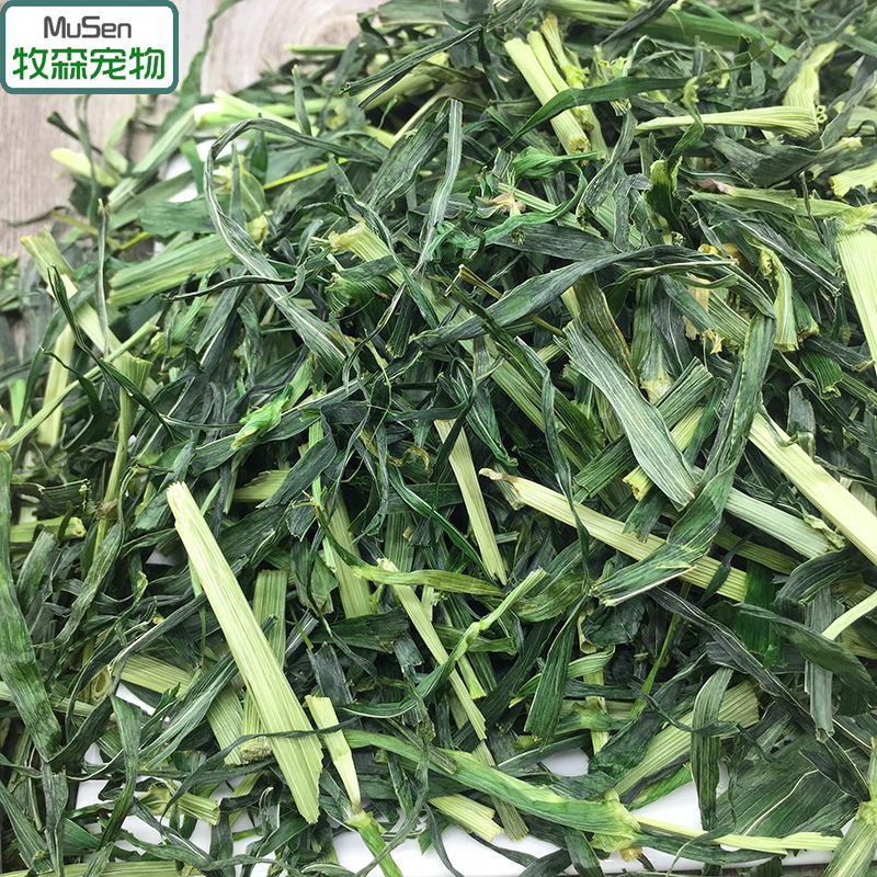 Year-Round Supply of Roasted Barley Grass Segments 250G/Bag, Wheat Grass, Wheat Seedlings, Rabbit Hay, Chinchilla Forage Year-Round Supply of Roasted Barley Grass Segments 250G/Bag, Wheat Grass, Wheat Seedlings, Rabbit Hay, Chinchilla Forage