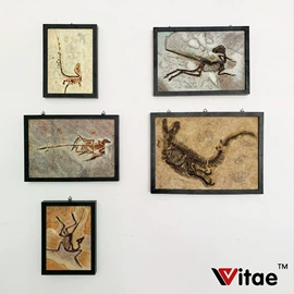 动植物仿真;动物工艺品;恐龙玩具