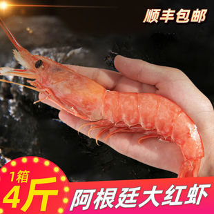 4����]��S��L1L2����͢�t�r�������r����������r��r���l