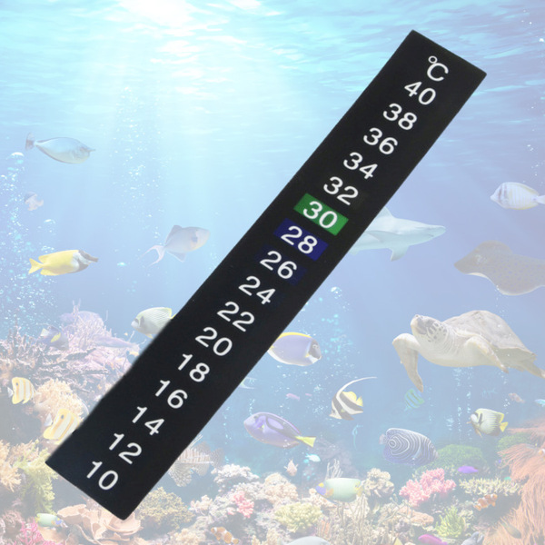 Aquarium