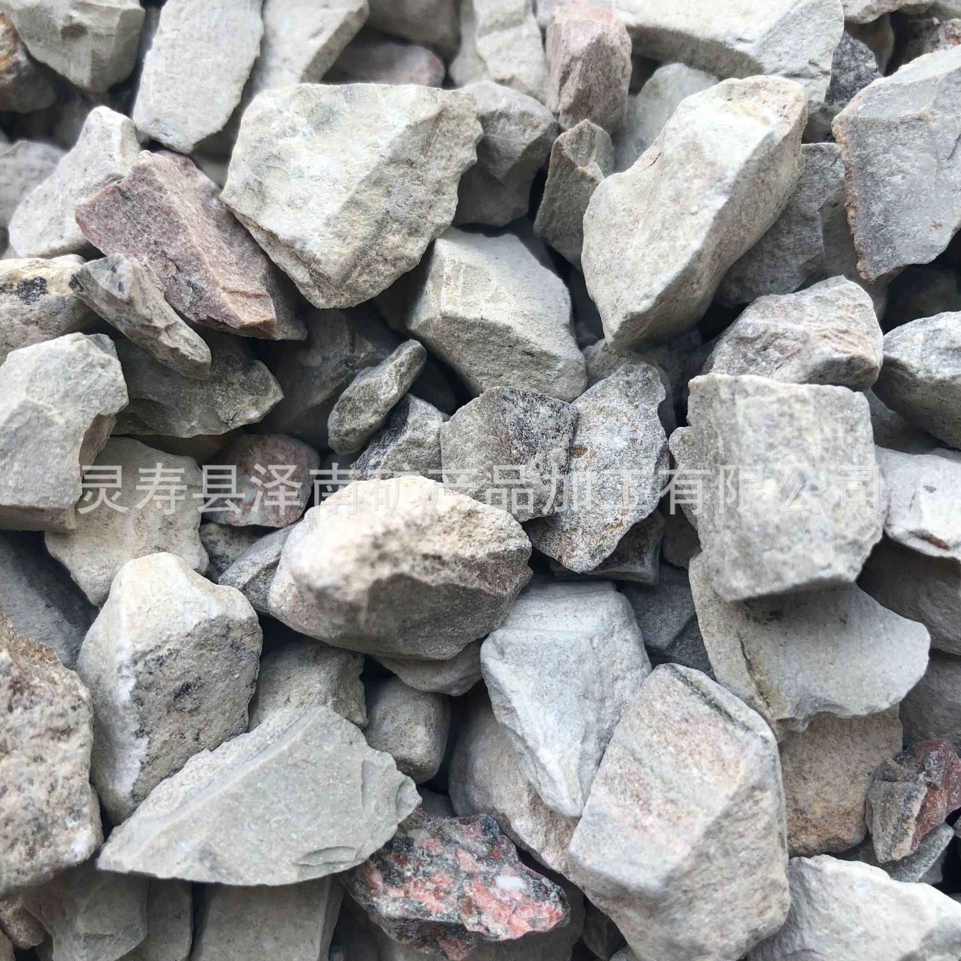 廠家供應水族過濾用 吸氨石 河道治理用 沸石