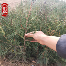 ����Ȱ�С�� �޽����ع����� ���ع����G�� ��س��G�o����ľ