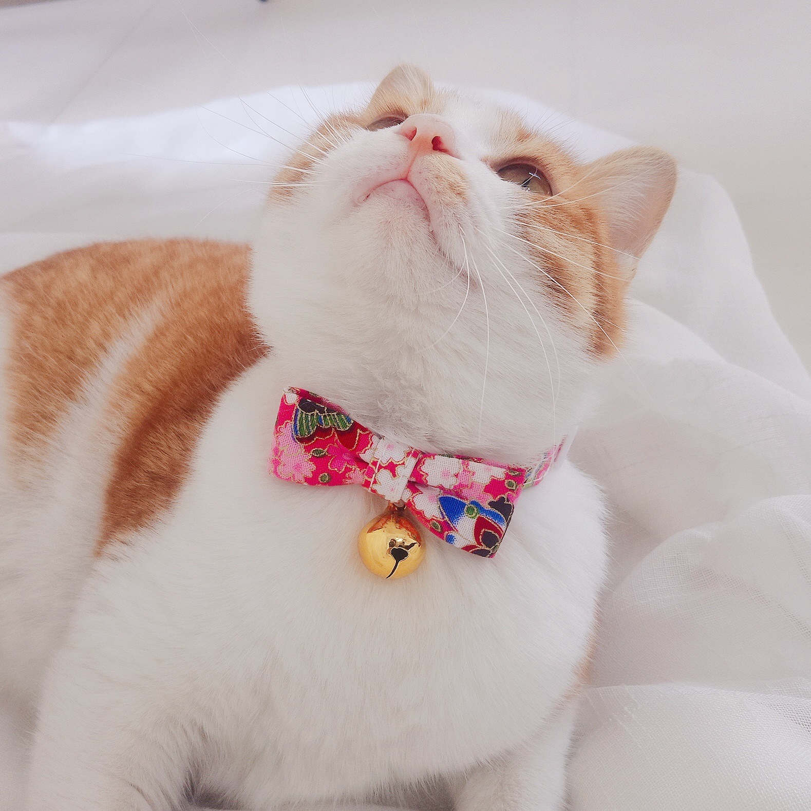 Japón y el viento ajustable corbata de mascota collar campana arco gatos perros collar perro conejo viento chino