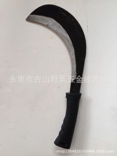 ��������С�ݵ� �� �r�õ���